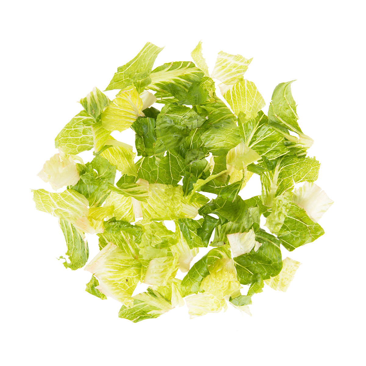Wholesale BoxNCase Chopped Romaine Hearts 3 LB-4ct Case Bulk