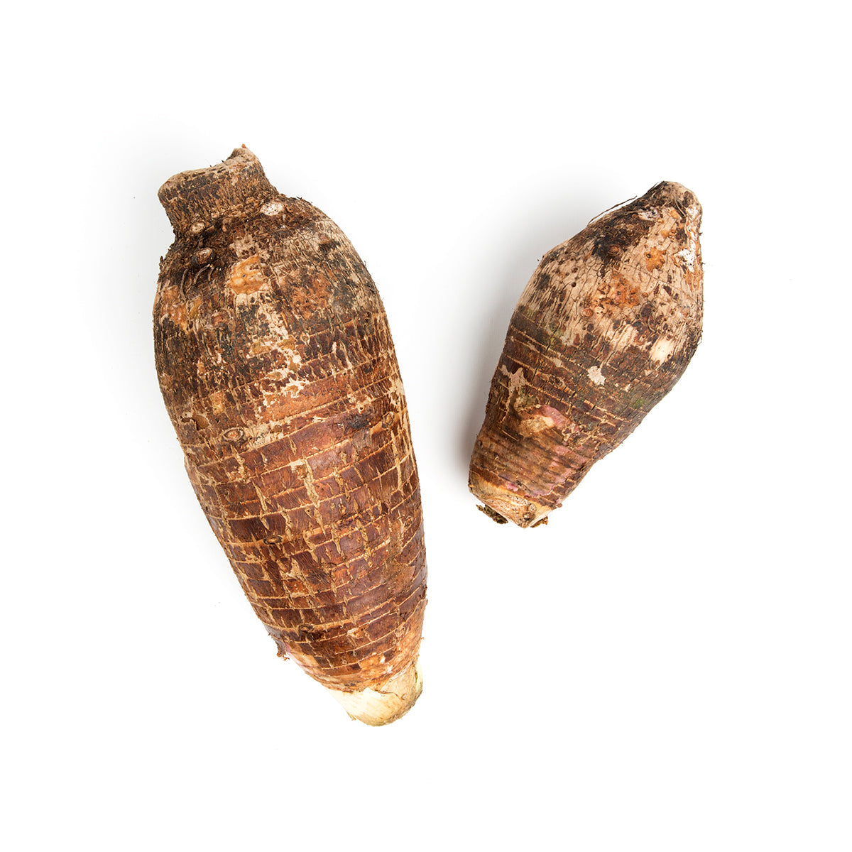 Wholesale BoxNCase Taro Root- Bulk