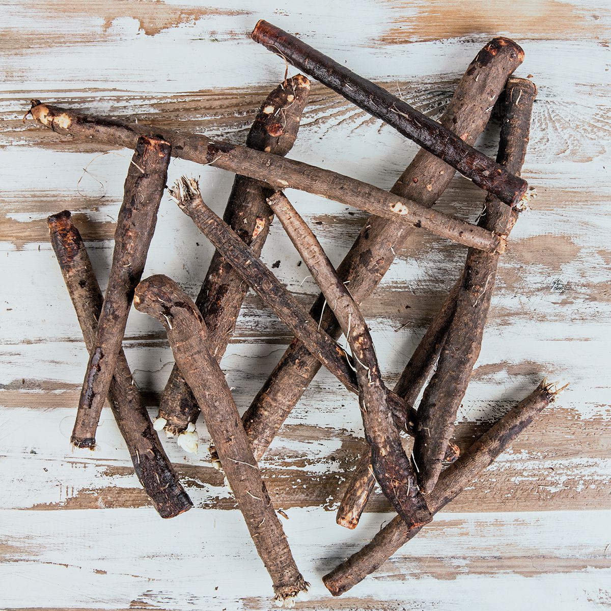 Wholesale BoxNCase Salsify- Bulk