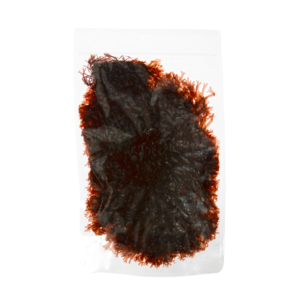 Wholesale Monterey Bay Seaweed Company Dulse Seaweed- Bulk