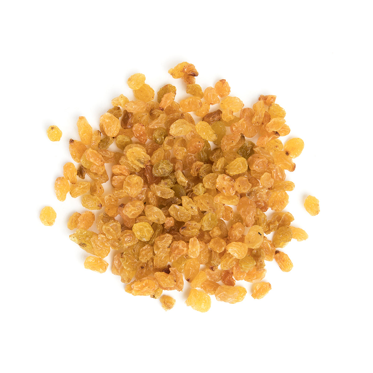 Bazzini Dried Golden Raisins 5 lb