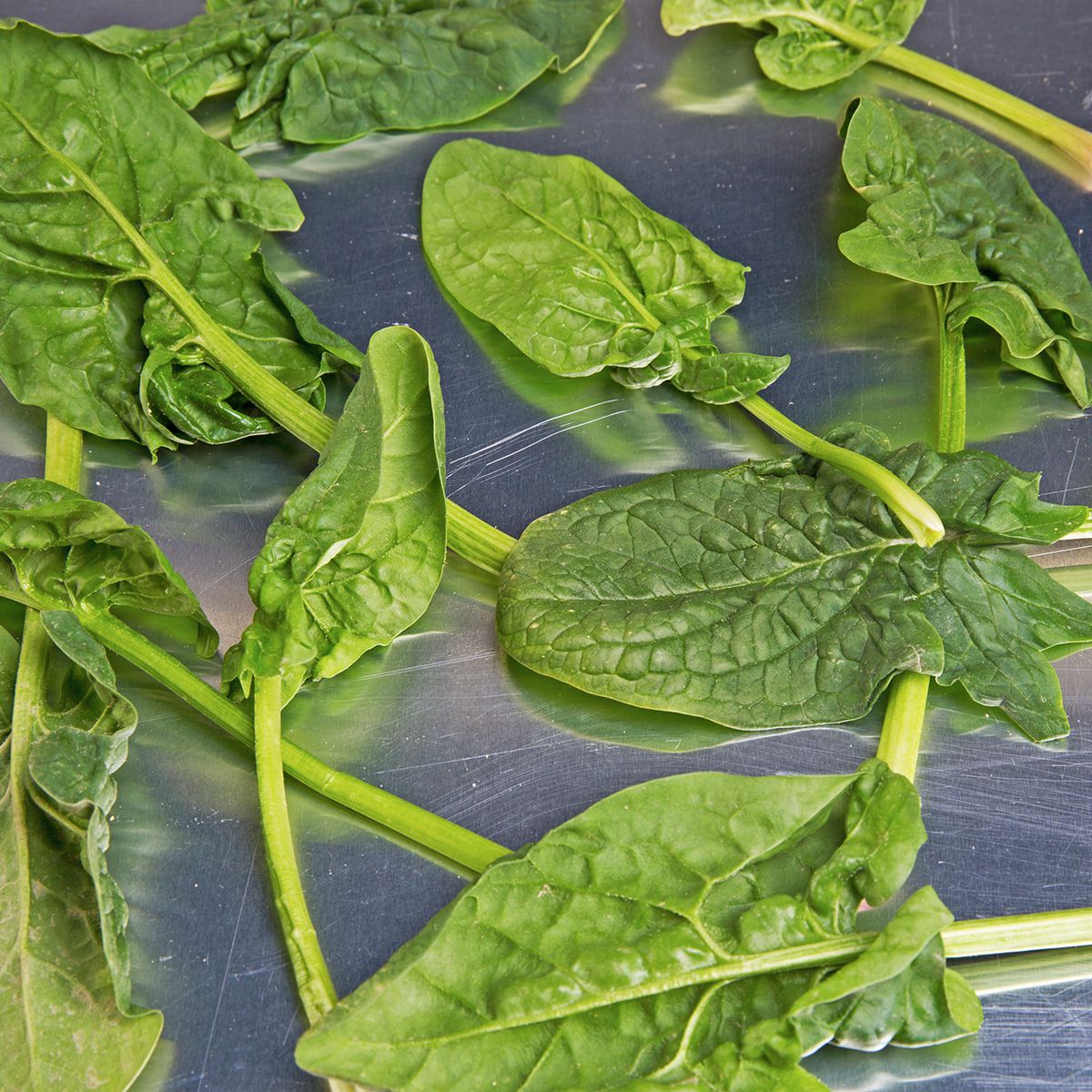 BoxNCase Washed Flat-Leaf Spinach 10 OZ
