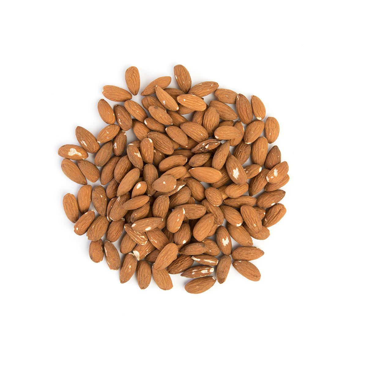 Wholesale Bazzini Raw Shelled Almonds-4 LB Bulk