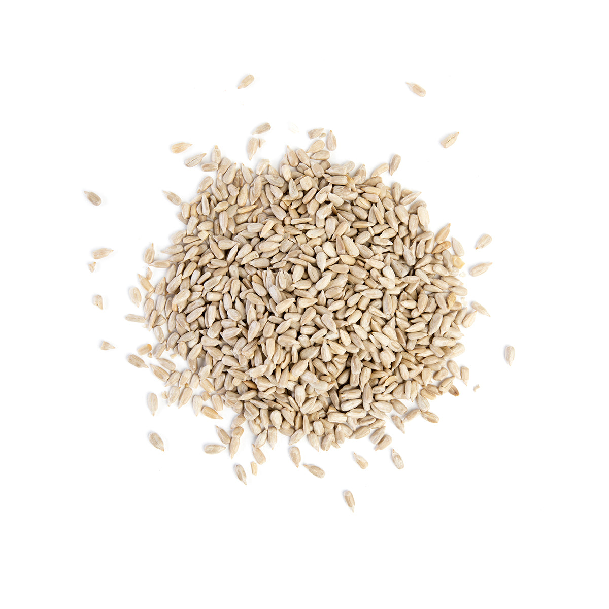 Wholesale Bazzini Raw Shelled Sunflower Seeds-4 LB Bulk
