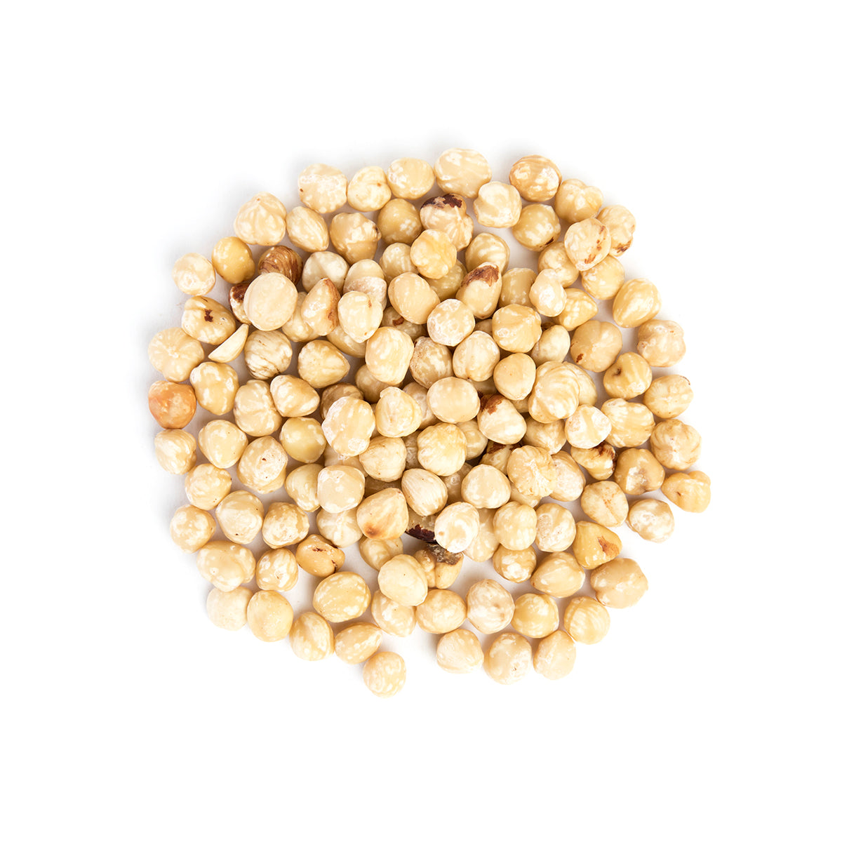 Wholesale Bazzini Raw Blanched Filberts-4 LB Bulk