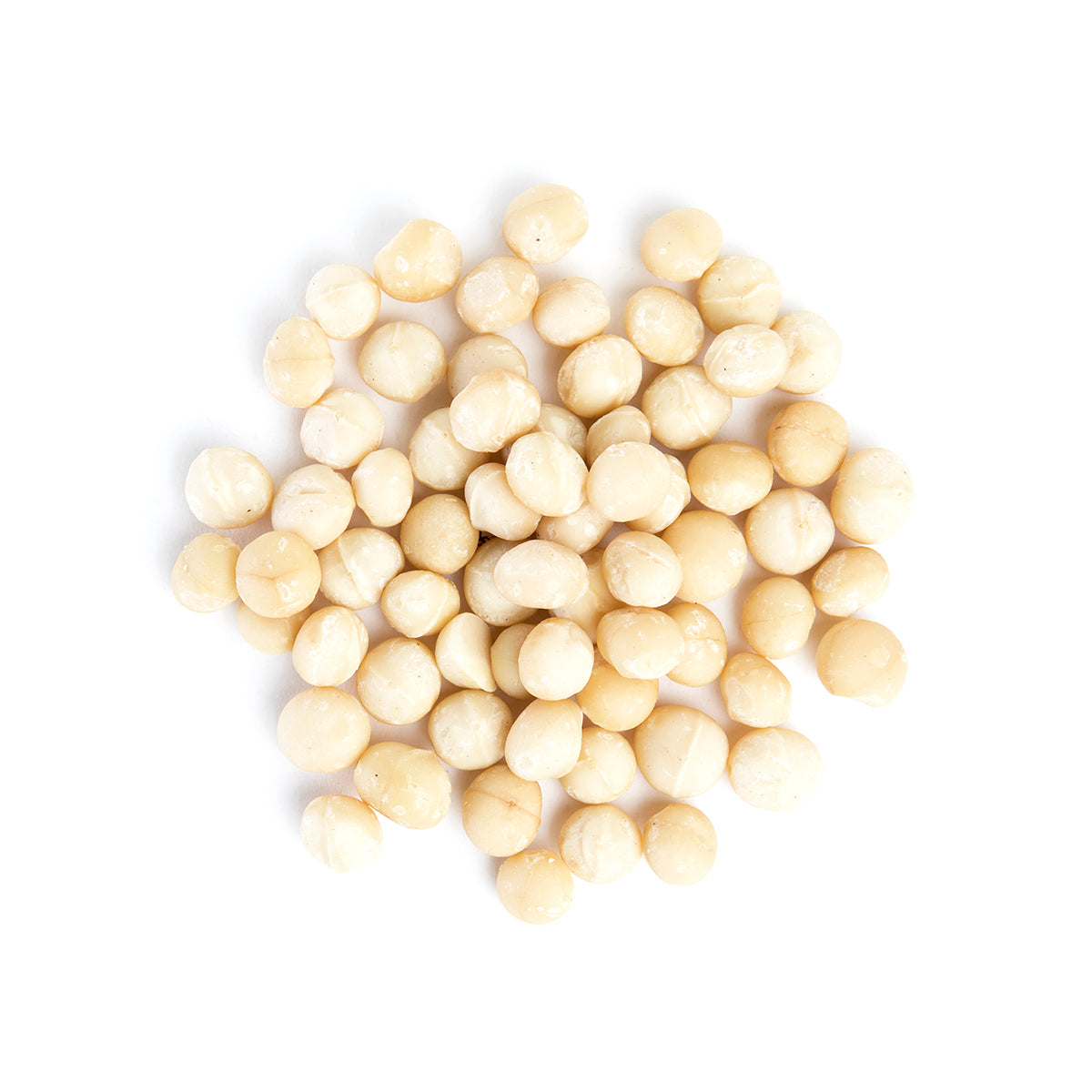 Wholesale Bazzini Whole Raw Macadamia Nuts-4 LB Bulk