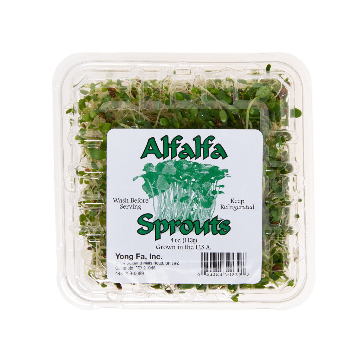 Wholesale BoxNCase Alfalfa Sprouts- Bulk