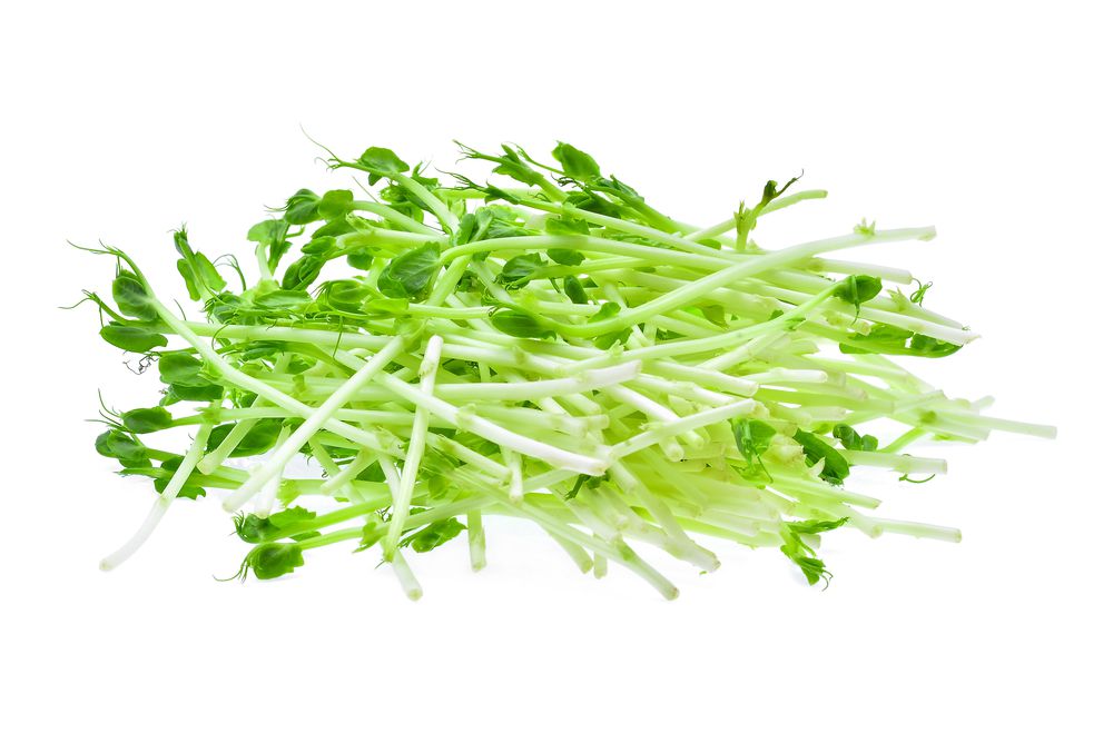 Wholesale BoxNCase Snowpea Shoots- Bulk