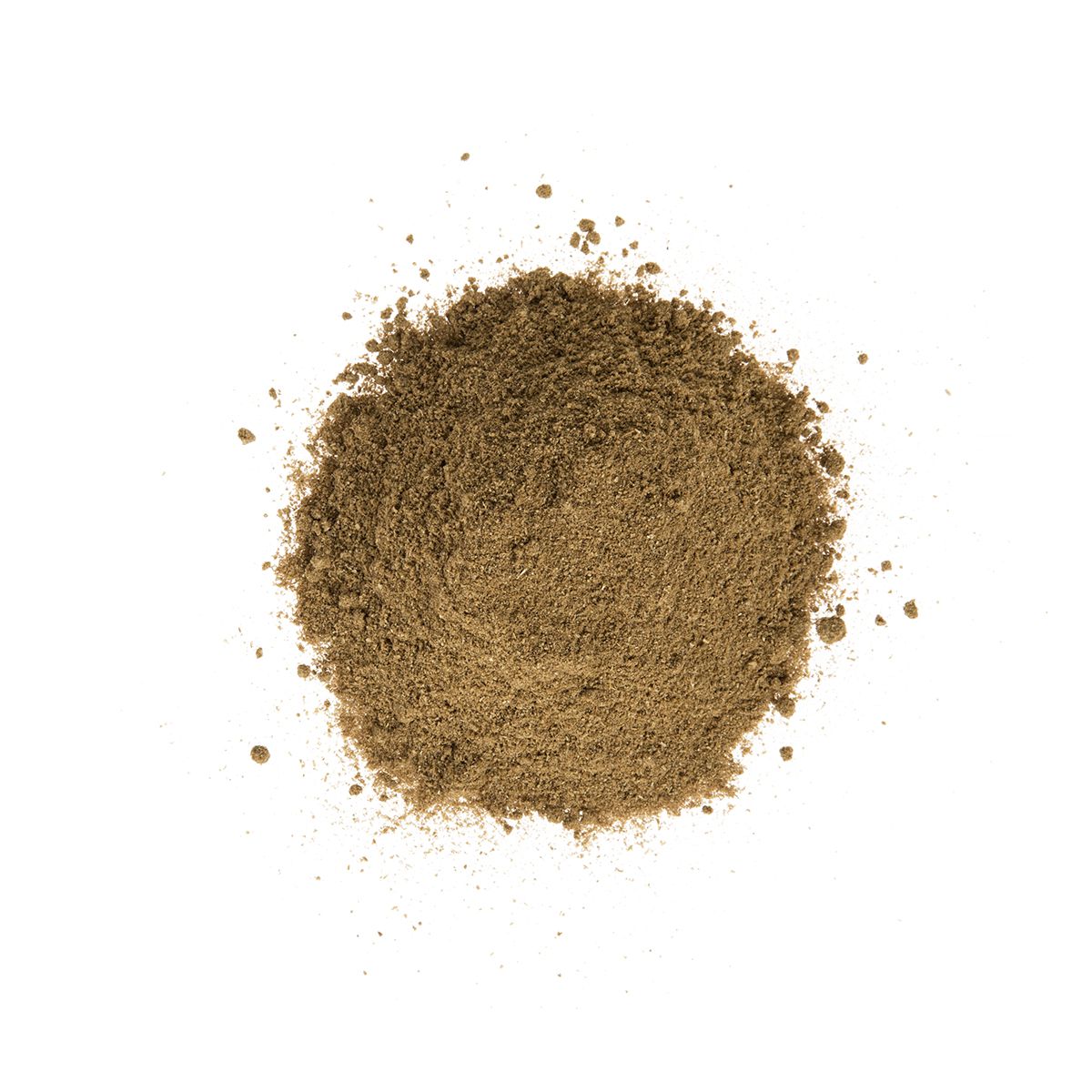 Wholesale Diretta Coriander Ground- Bulk