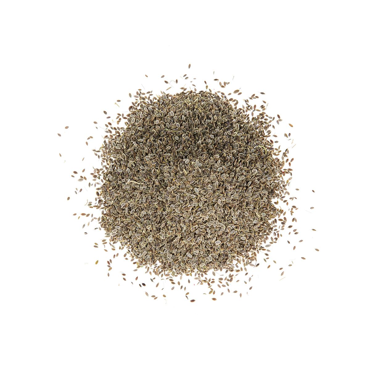 Wholesale Diretta Dill Seed- Bulk