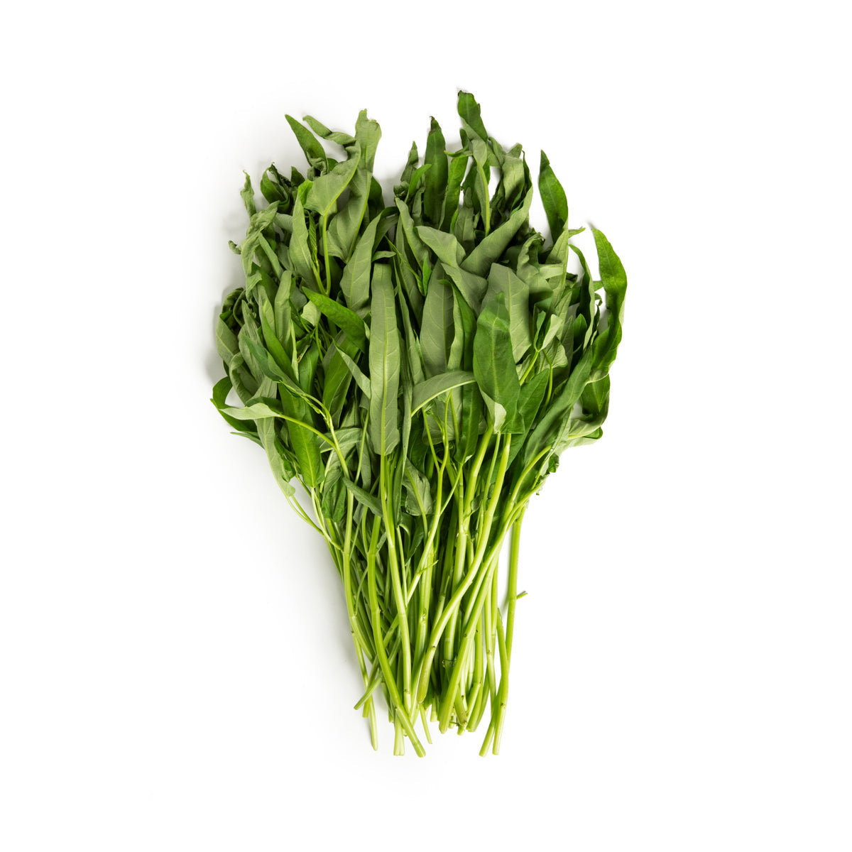 B&W Water Spinach 5 lb