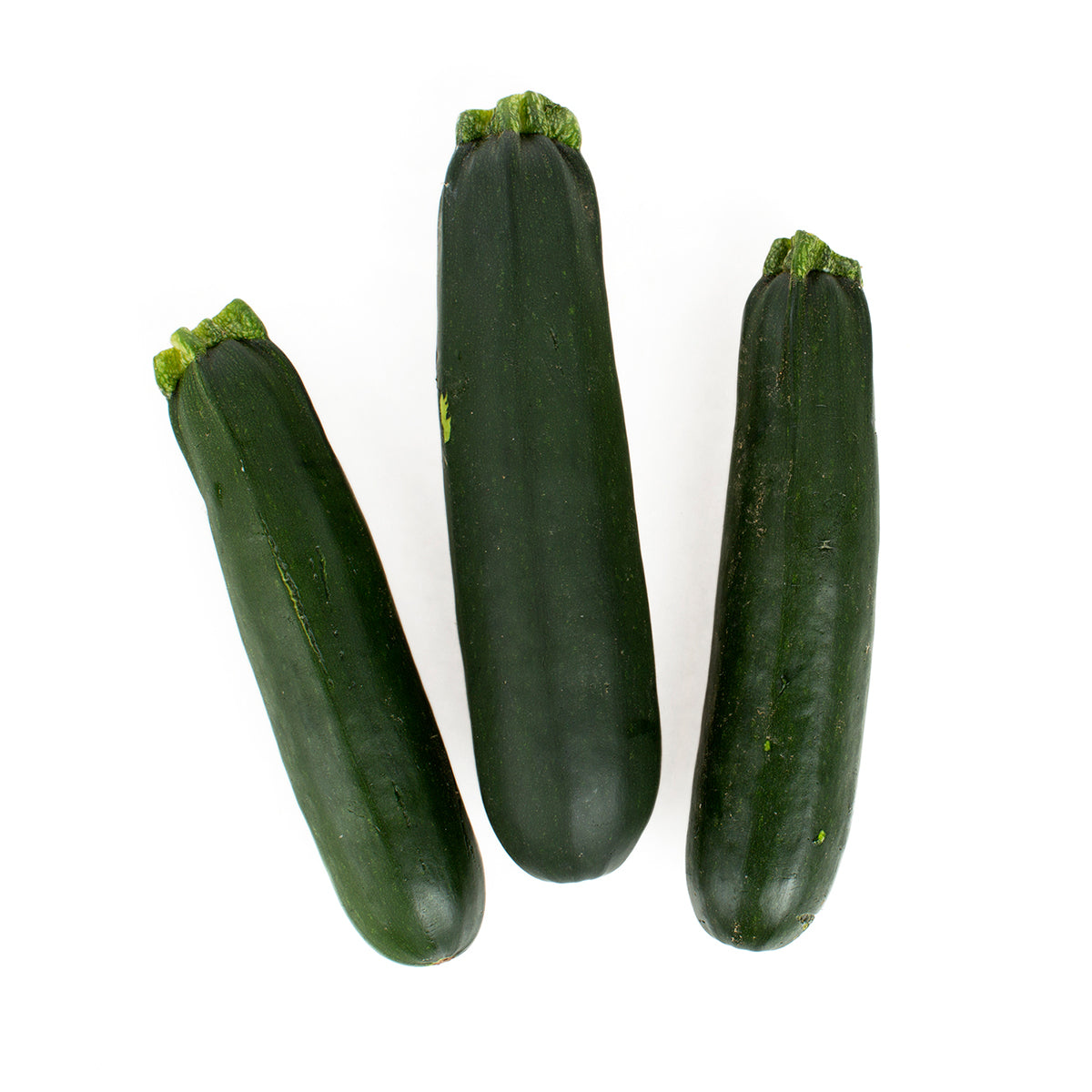 Wholesale BoxNCase Medium Zucchini- Bulk