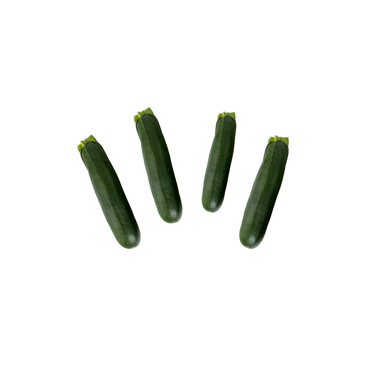 Wholesale BoxNCase Baby Green Zucchini-5 LB Bulk