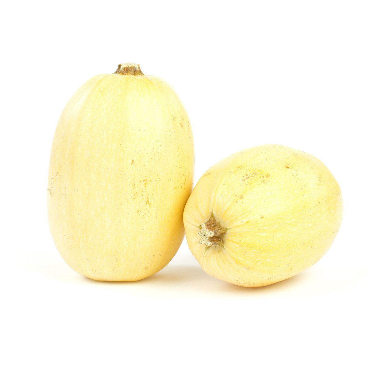 Wholesale Lancaster Farm Fresh Organic Spaghetti Squash-35 LB Bulk