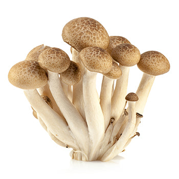 Packer Brown Shimeji Mushrooms 3.5oz