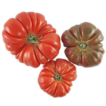 Packer Heirloom Tomatoes 10lb