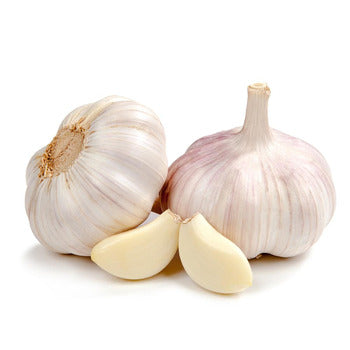 Packer Garlic 5count
