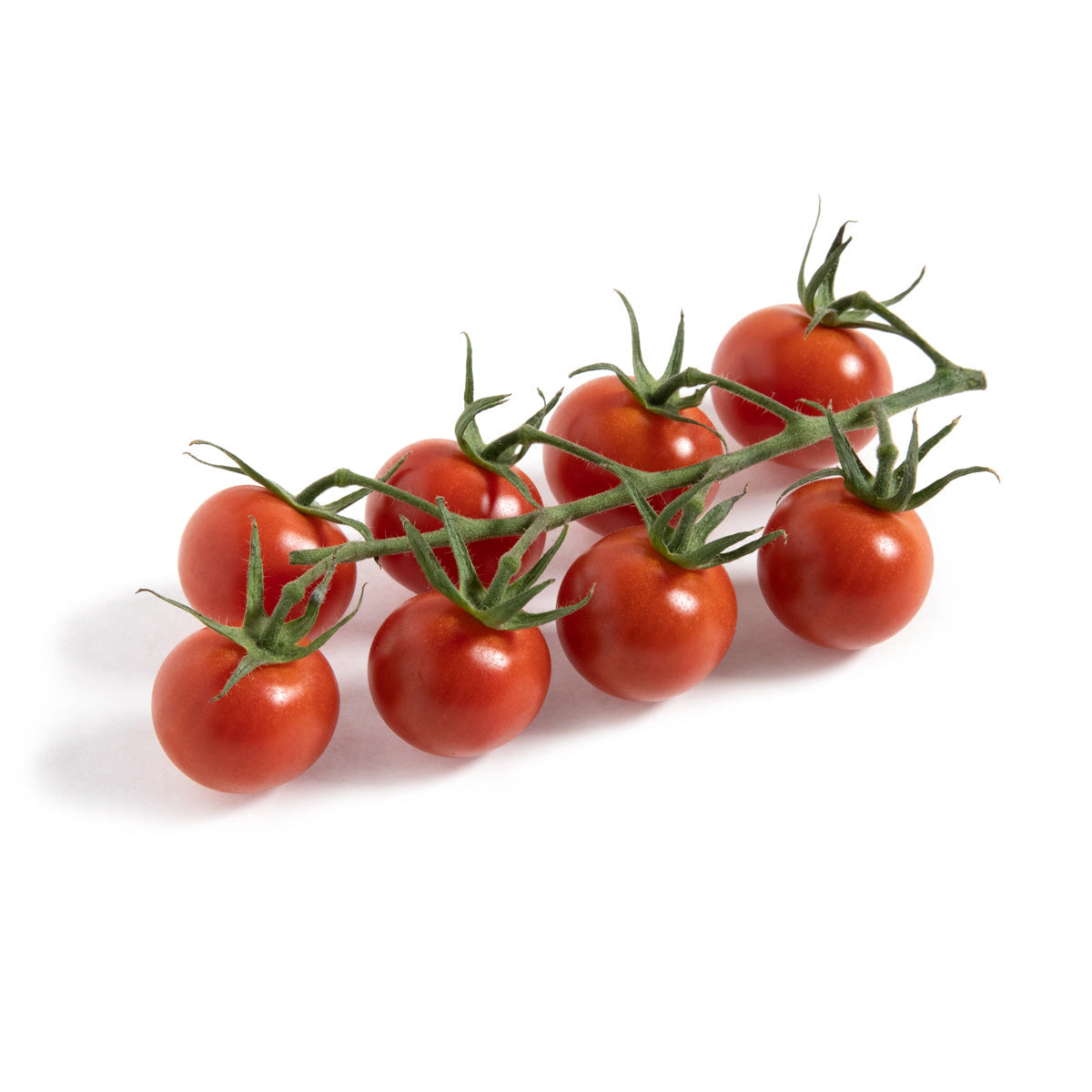 Wholesale Sunset Flavor Bombs Cherry Tomatoes on the Vine 12 OZ- Bulk