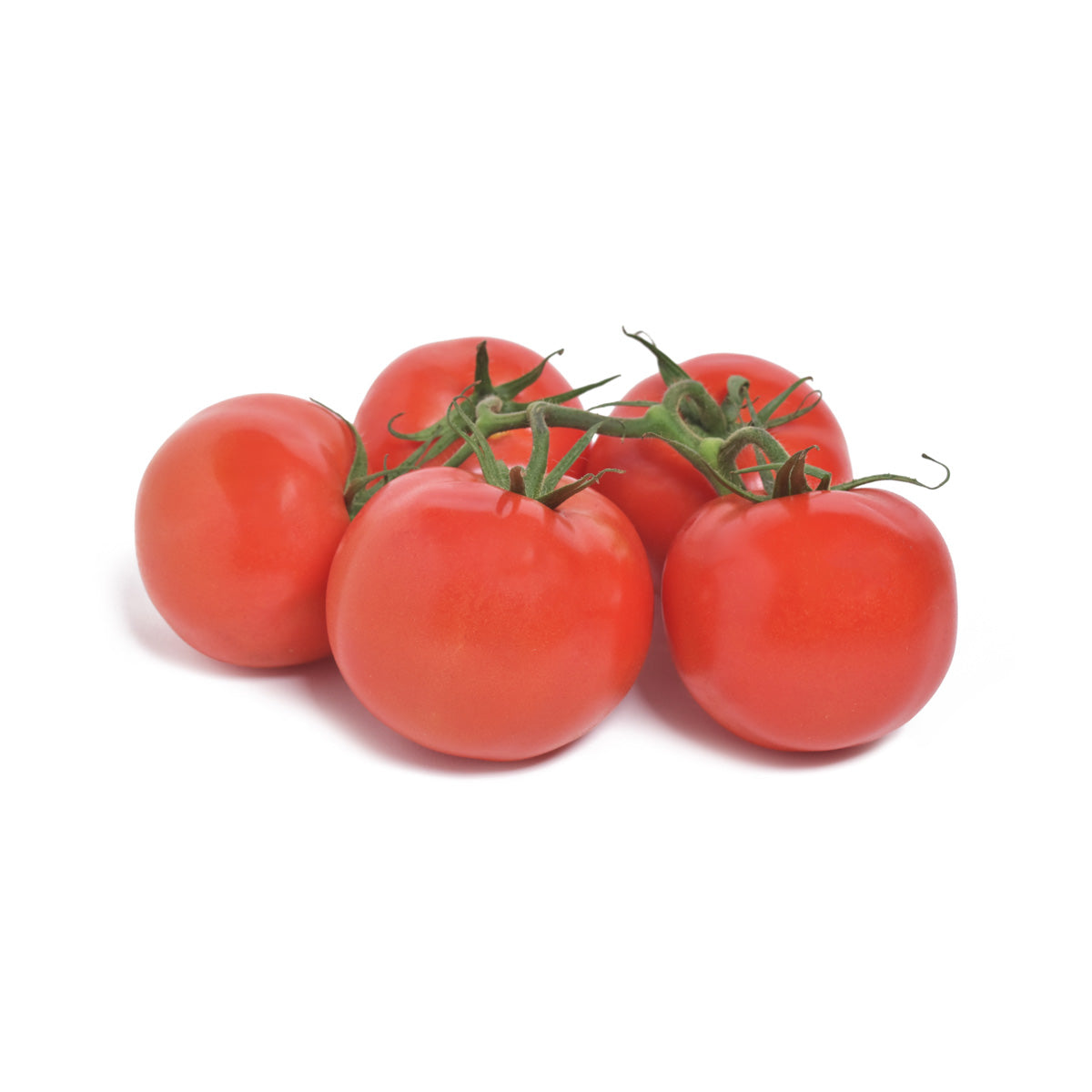 Backyard Farms Medium Tomatoes on the Vine 11 lb