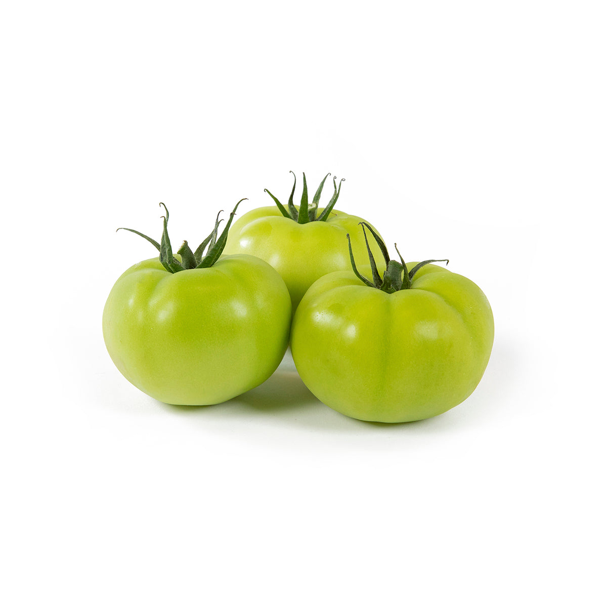 Wholesale BoxNCase Green Beefsteak Tomatoes-1 LYR 18-22 CT Bulk