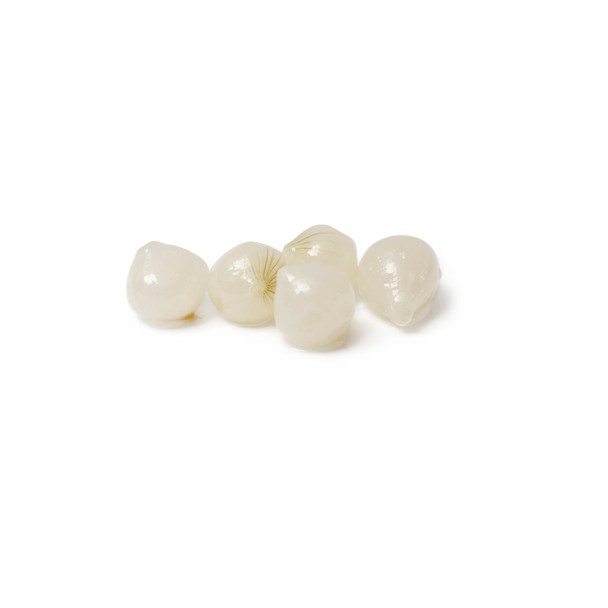 Wholesale Ortoconserviera Cocktail Onions- Bulk