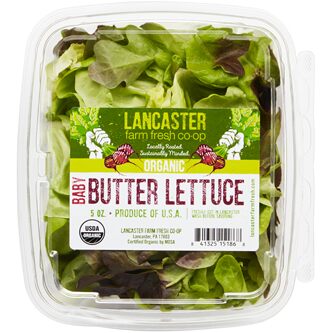 Lancaster Farm Fresh Organic Baby Butter Lettuce 5oz 24ct