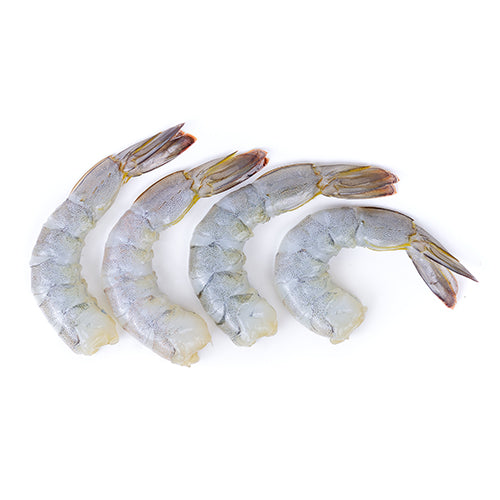 XW: Xtraordinary White Shrimp Peeled & Deveined Tail On Shrimp 21-25 2lb