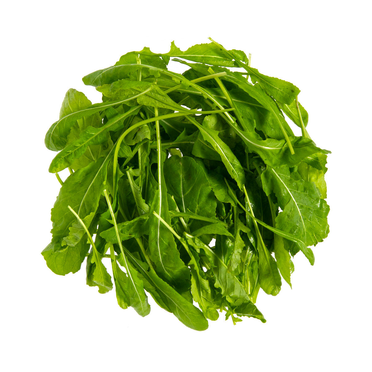 Wholesale Gilbertie'S Organic Arugula- Bulk