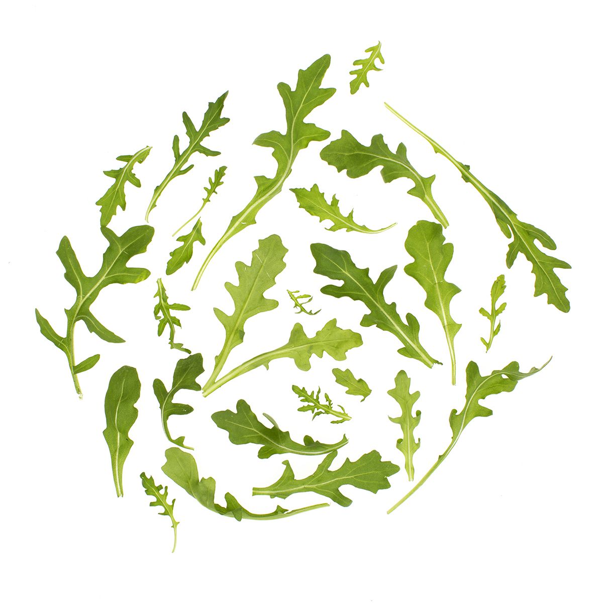 Wholesale BoxNCase Organic Wild Baby Arugula- Bulk