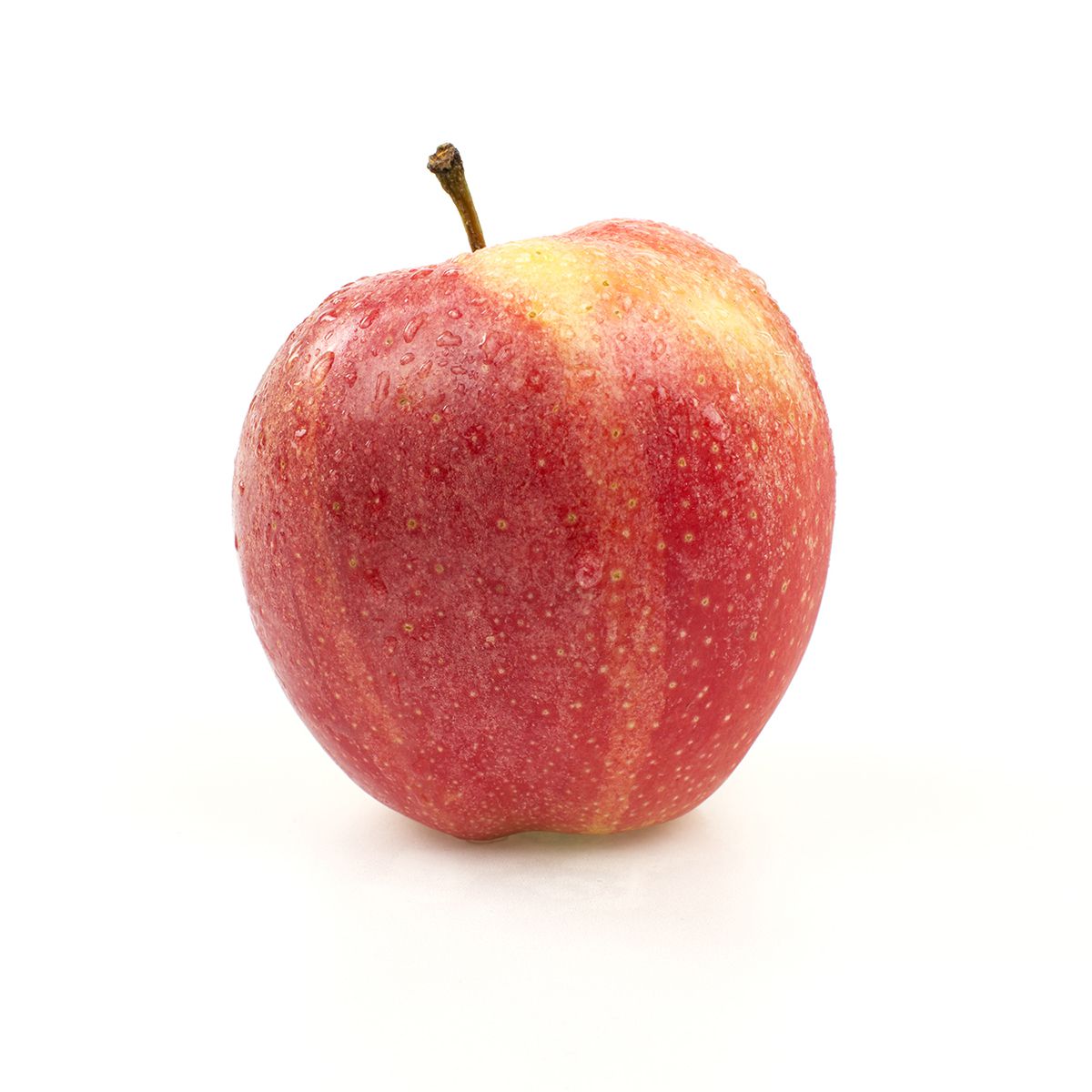 Wholesale BoxNCase Organic Gala Apples- Bulk