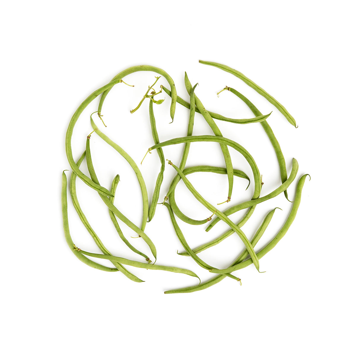 Wholesale Norwich Meadows Farm Organic Maxibel Beans- Bulk