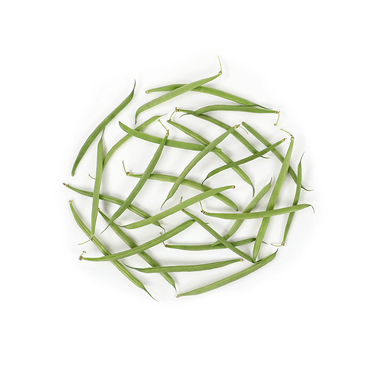 Wholesale BoxNCase Organic French Beans- Bulk