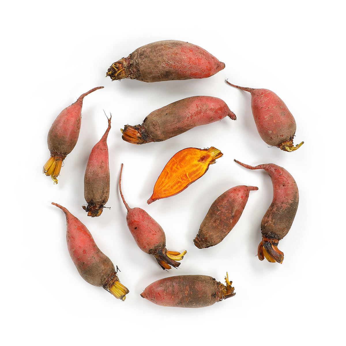 Wholesale Row 7 Seed Company Organic Row 7 Badger Flame Beets- Bulk