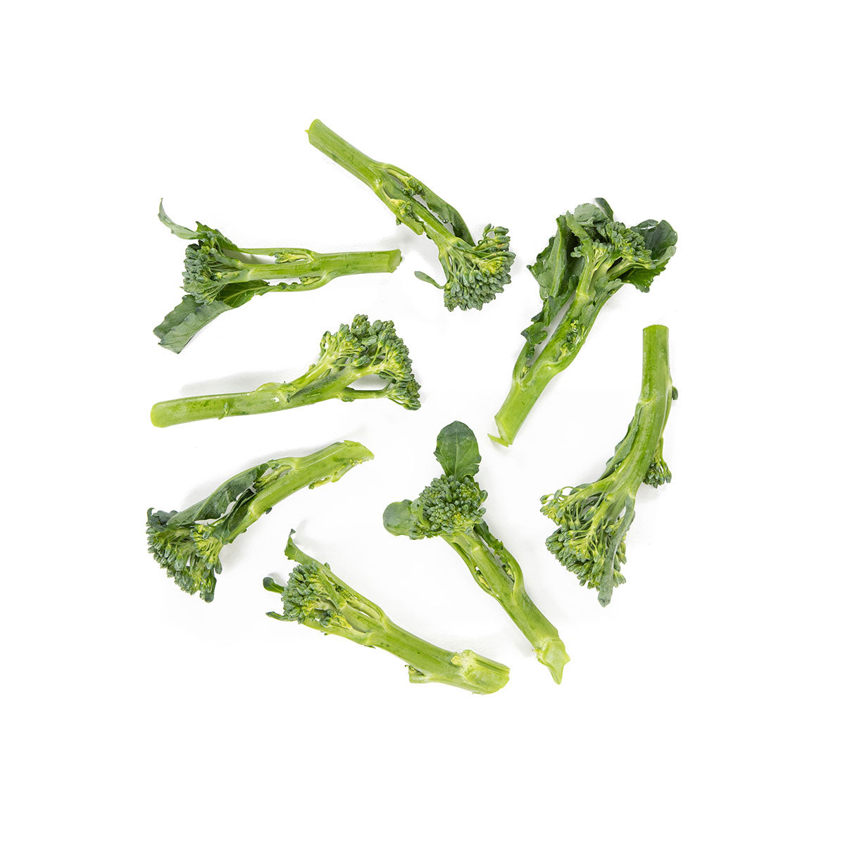 Wholesale Taproot Farm Organic Sprouting Broccoli- Bulk