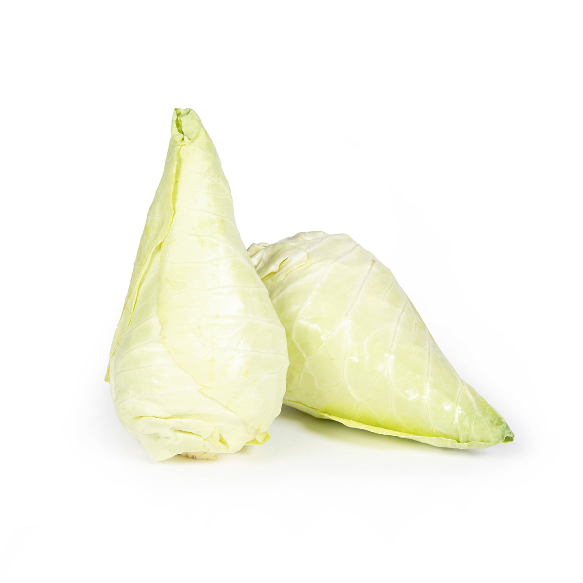 BoxNCase Caraflex Cabbage