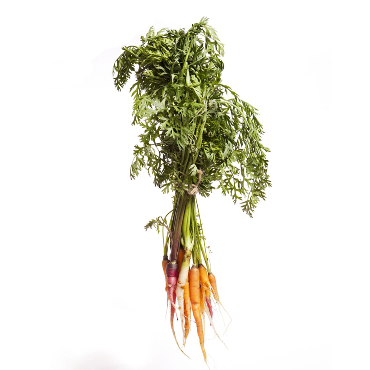 BoxNCase Organic Rainbow Carrot