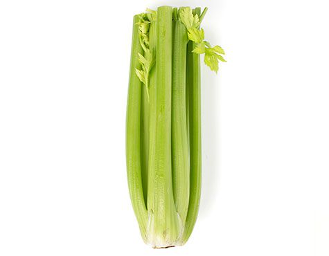 Wholesale BoxNCase Organic Celery- Bulk