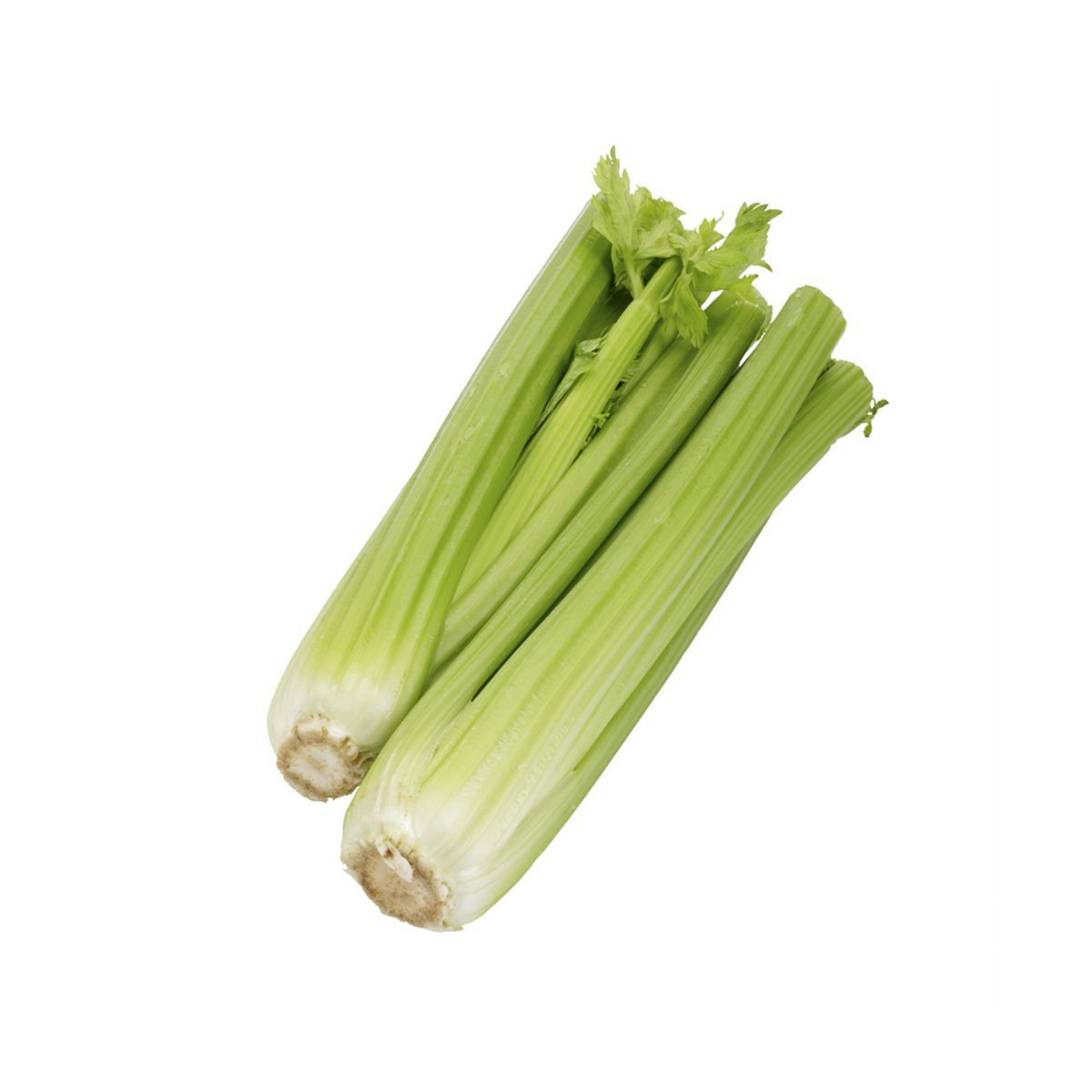 Wholesale BoxNCase Organic Celery Hearts 2 CT- Bulk