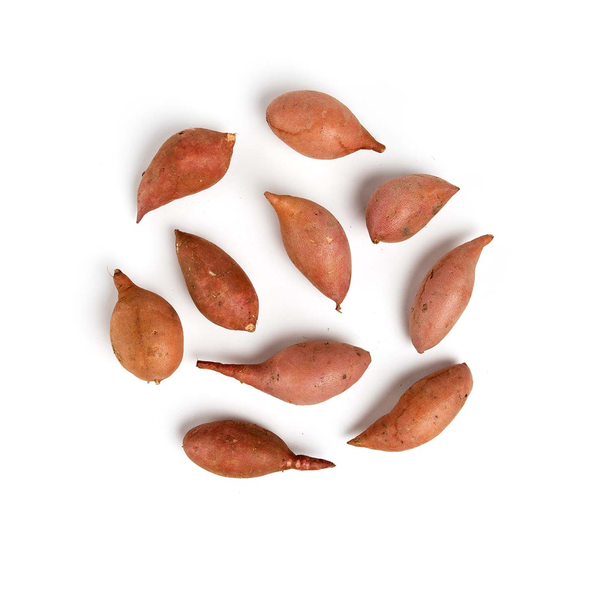 Wholesale BoxNCase Organic Fingerling Garnet Yams- Bulk