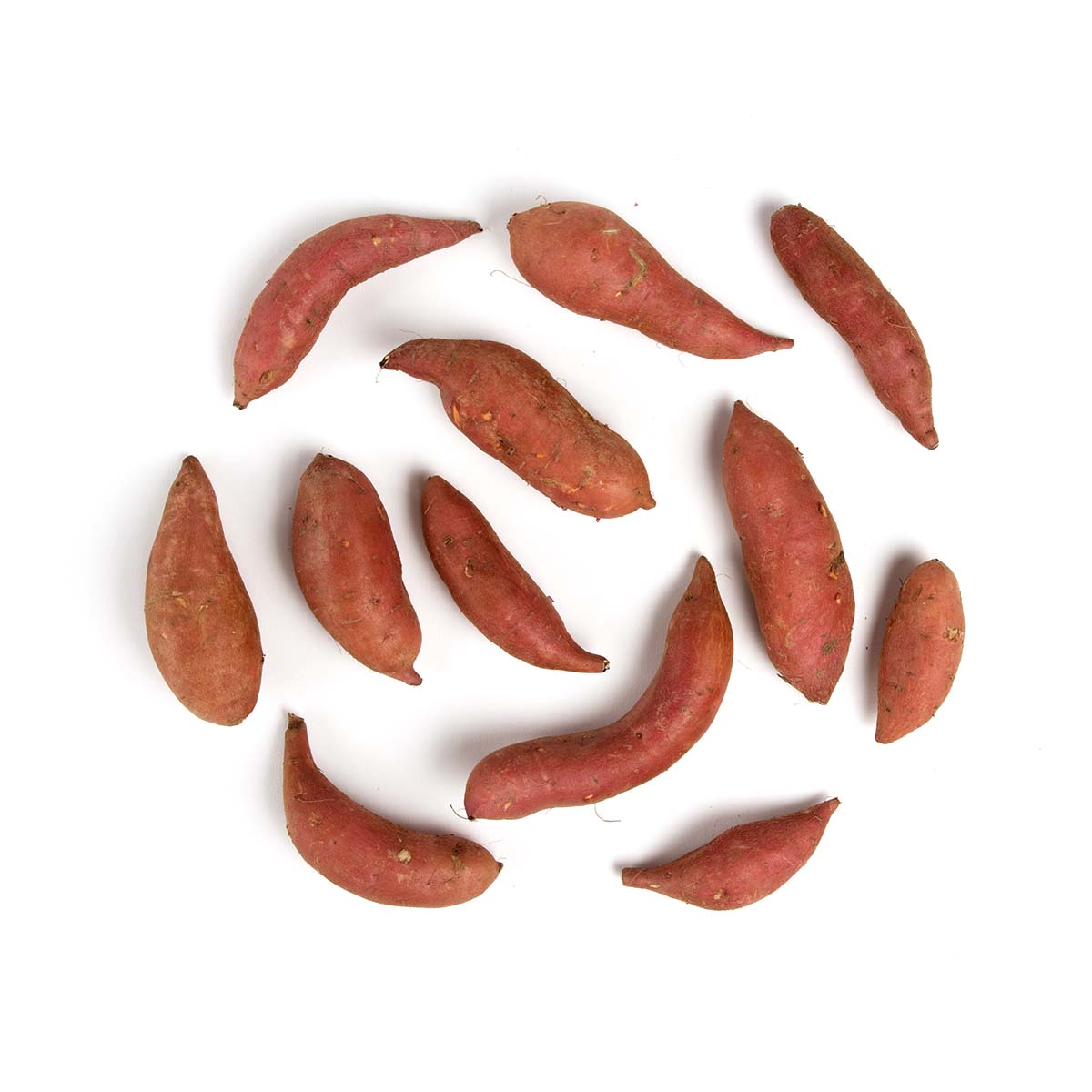 Wholesale Lancaster Farm Fresh Organic Fingerling Sweet Potatoes- Bulk