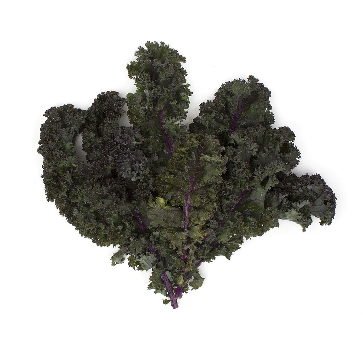 BoxNCase Organic Red Kale