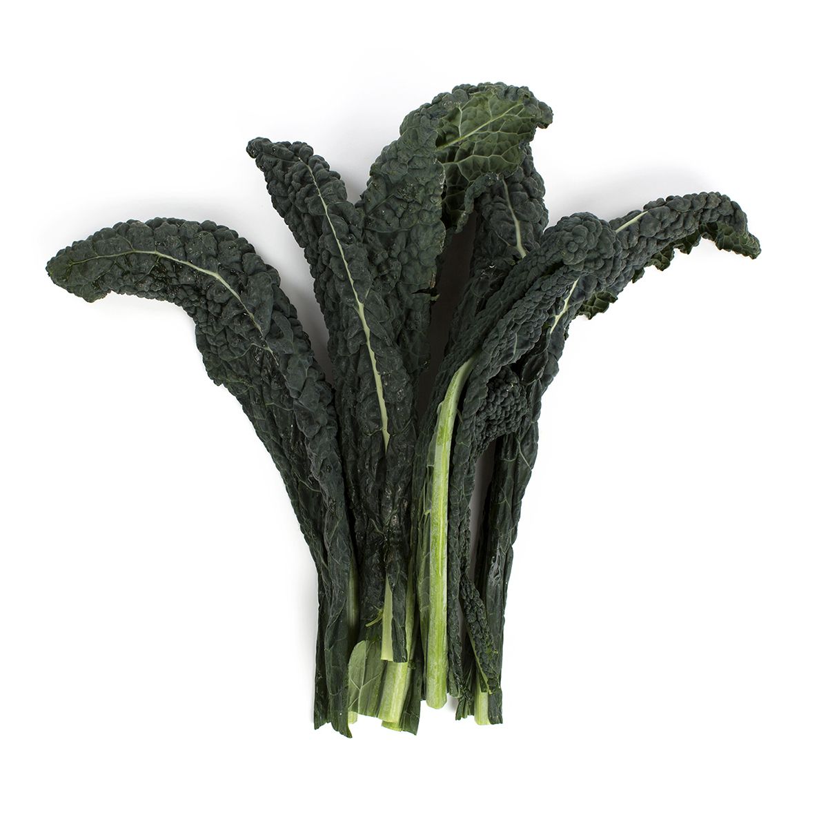 Wholesale Cal-Organic Farms Organic Lacinato Kale- Bulk