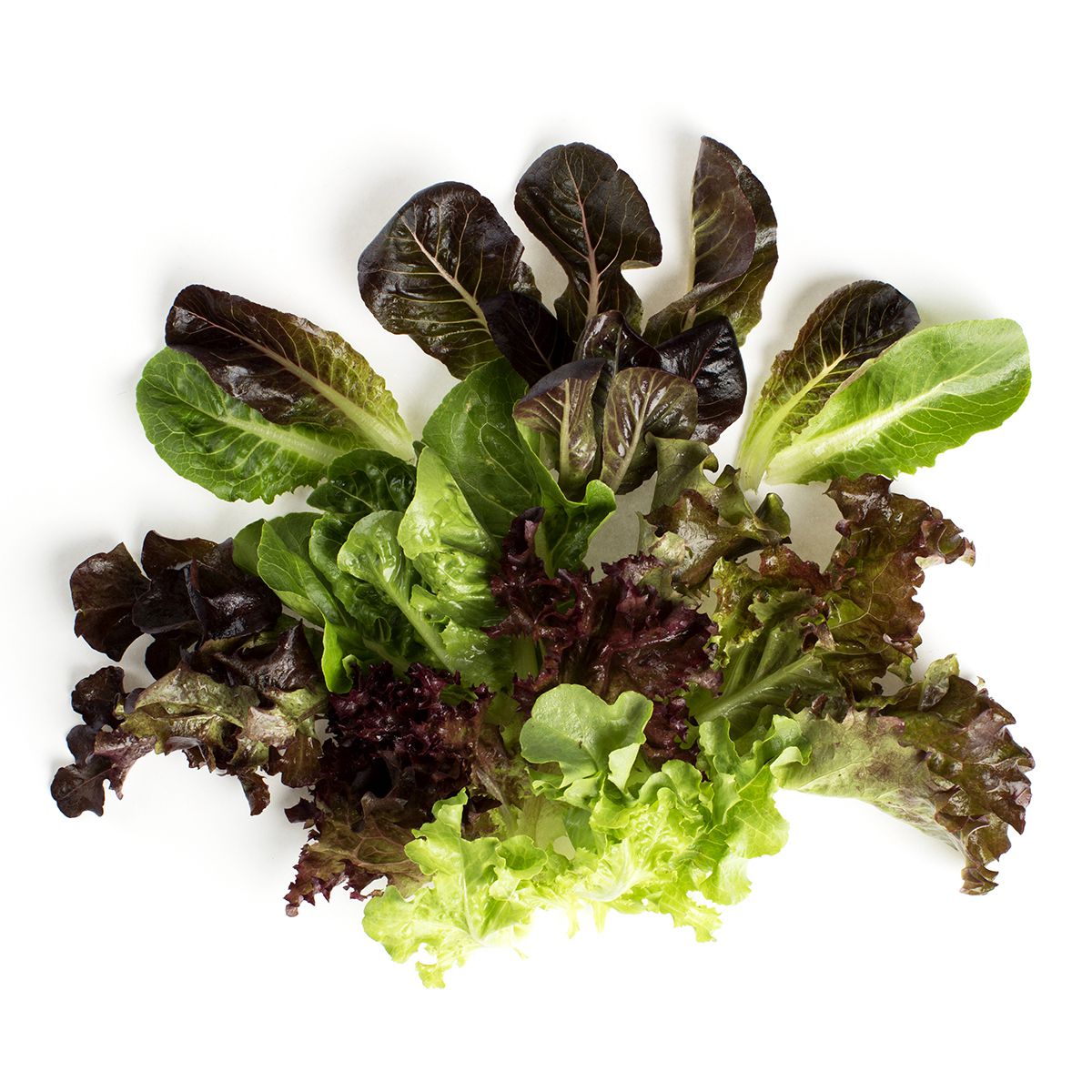BoxNCase Organic Mesclun / Spring Mix