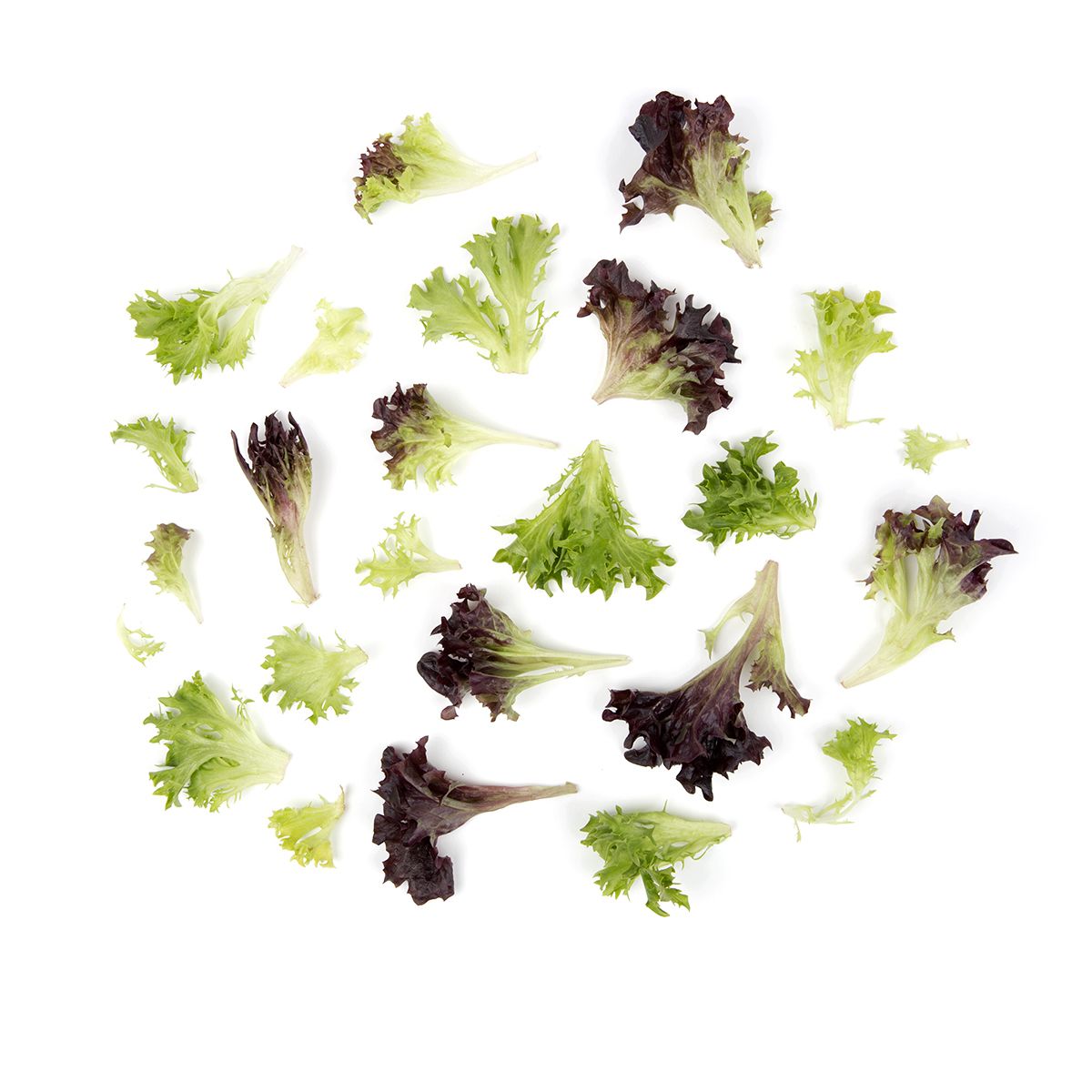 Wholesale Mann Packing Organic Arcadian Harvest Mix- Bulk