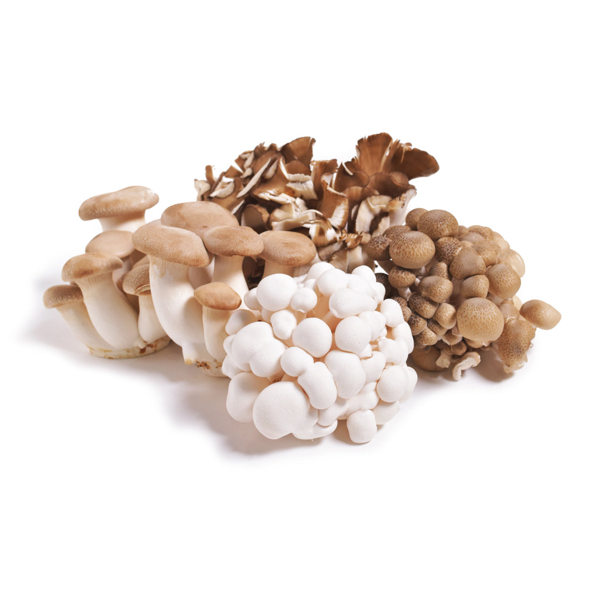 Mycopia Organic Chef's Mix Mushrooms