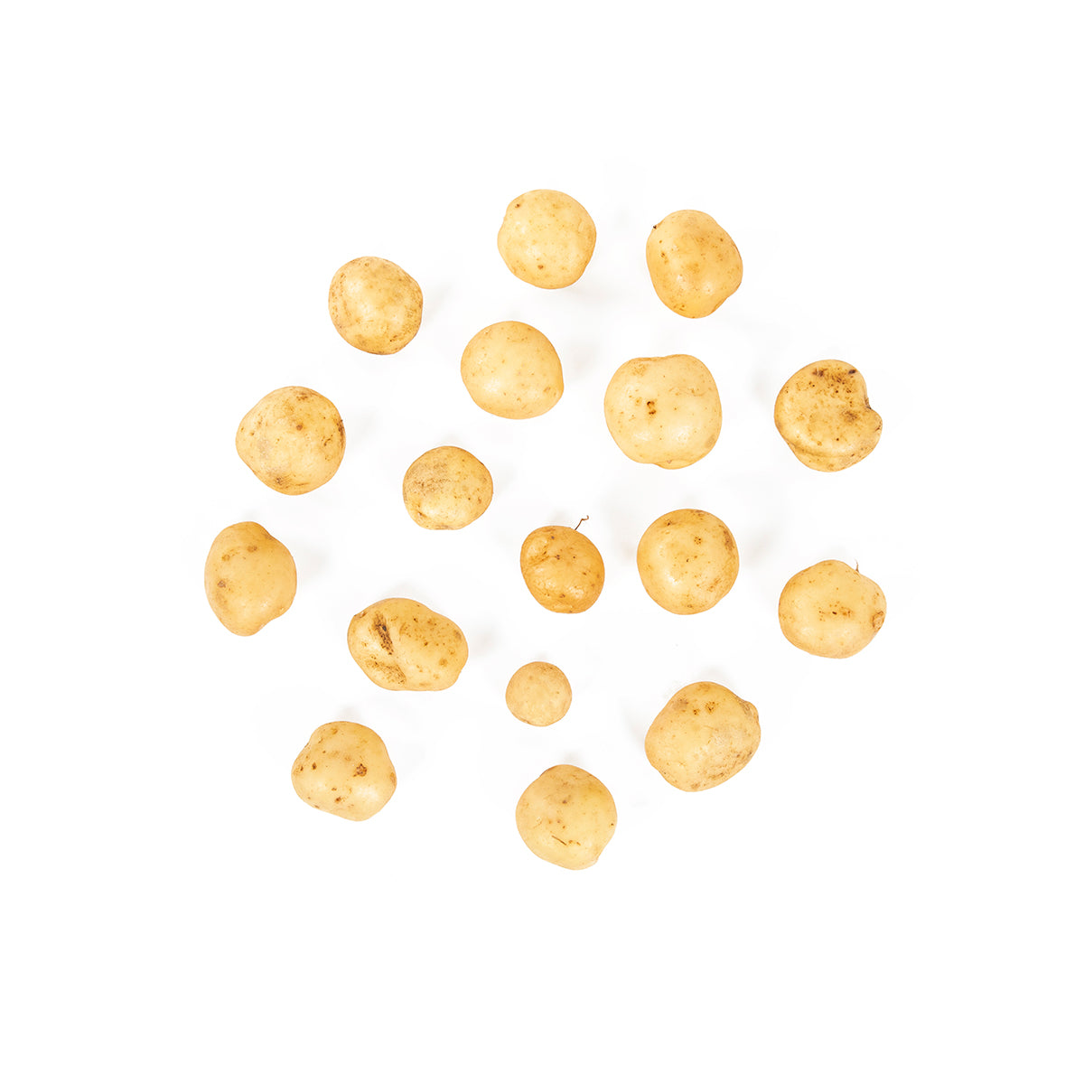 Wholesale Row 7 Seed Company Organic Row 7 Upstate Abundance Potato- Bulk