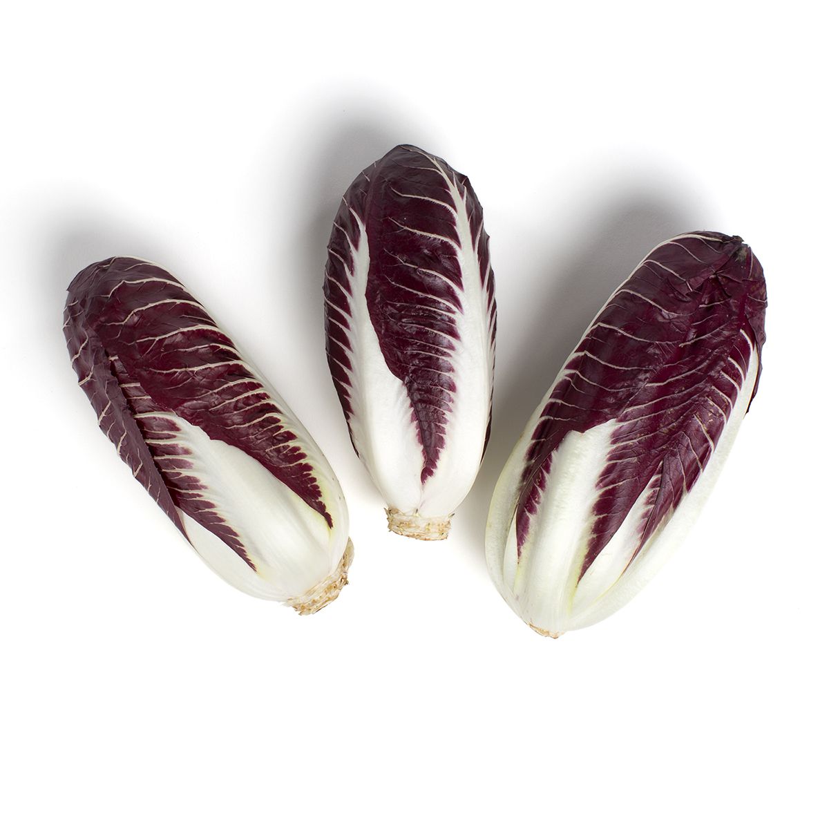 Wholesale Kitchen Garden Farm Organic Verona Radicchio- Bulk
