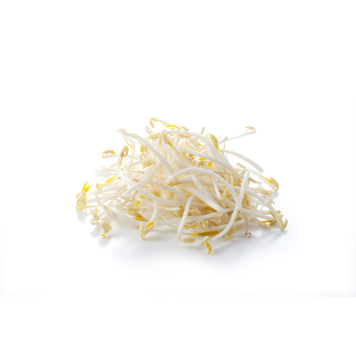 Wholesale BoxNCase Organic Mung Bean Sprouts 7 OZ- Bulk