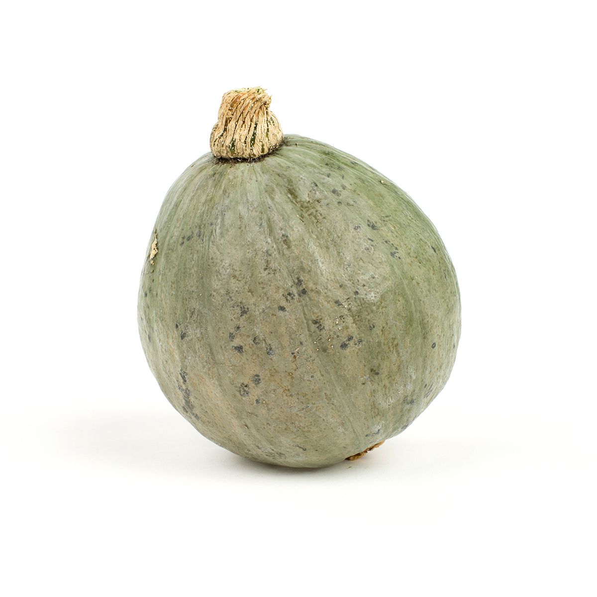Wholesale BoxNCase Organic Baby Blue Hubbard Squash-35 LB Bulk