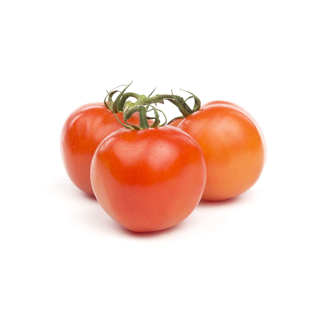Wholesale BoxNCase Organic Tomatoes on the Vine- Bulk